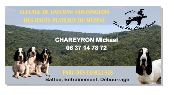 affiche accueil
